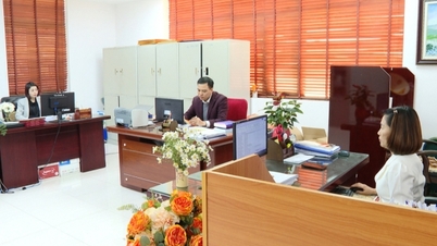 TP Hạ Long: Quyết tâm cao, hành động sớm
