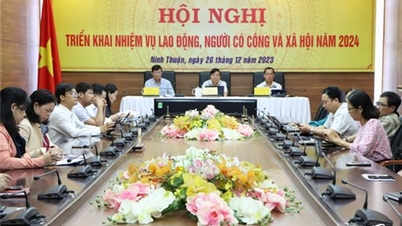 NTO - ក្រសួងការងារ