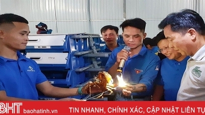 Đầu tư hơn nửa tỷ đồng làm nhà nuôi cua biển công nghệ cao 