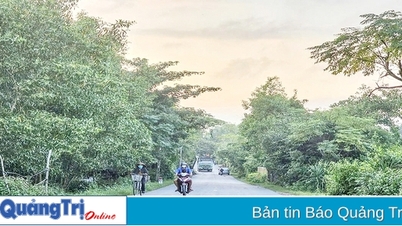 Góp phần để Hải Lăng đạt chuẩn huyện nông thôn mới