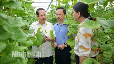 ថ្នាក់​ដឹកនាំ​ខេត្ត​ស្ទង់​មតិ​គំរូ​គំរូ​នៃ​ការ​ចល័ត​មហាជន​ដ៏​ជំនាញ