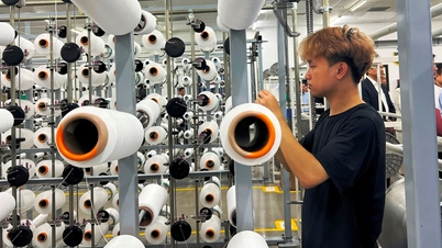 Newly established enterprises decrease, registered capital increases