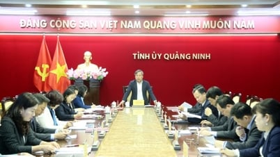 Chuẩn bị chu đáo các hoạt động cho nhân dân vui Xuân, đón Tết vui tươi, lành mạnh, an toàn