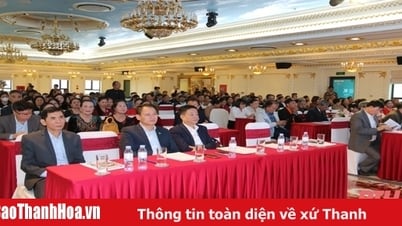 សមាគមមនុស្សចាស់ខេត្ត Thanh Hoa សង្ខេបគម្រោង VIE071