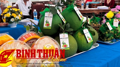 សប្តាហ៍ពិព័រណ៍ផលិតផលធម្មតា ផលិតផល OCOP របស់ខេត្ត Binh Thuan នៅទីក្រុងហូជីមិញ