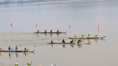 जिला डगआउट कैनो रेसिंग महोत्सव में कई सहायक गतिविधियाँ आयोजित की जाएंगी...