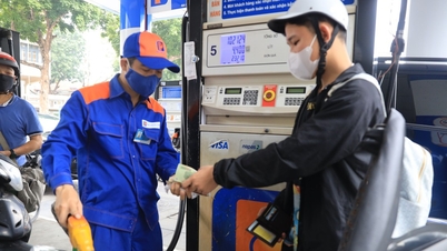 Giá xăng E5 và RON95-III tăng nhẹ, hai mặt hàng dầu tiếp tục đi xuống