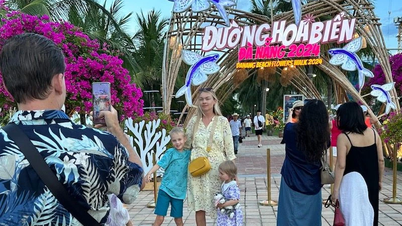 Da Nang ouvre la rue des fleurs de mer