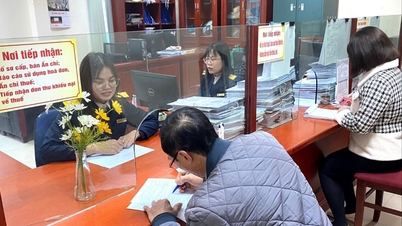 Chi cục Thuế khu vực Ninh Thanh thu ngân sách tháng 1 gấp gần 3 lần cùng kỳ