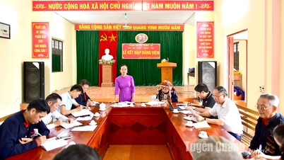 Оцінювання та класифікація партійних організацій та членів партії: Повинні бути суттєвими та серйозними