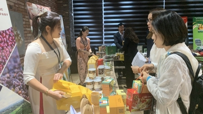 Kết nối giao thương nông sản, thực phẩm Tây Nguyên giữa Việt Nam – Hàn Quốc