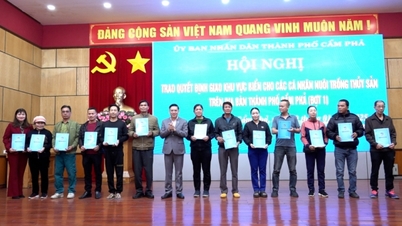 ខេមផាស៊ីធី ប្រគល់តំបន់កសិកម្មសមុទ្រ ជូនប្រជាពលរដ្ឋ និងបុគ្គលចំនួន ៥៨គ្រួសារ