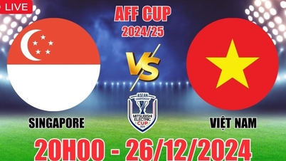 Link xem trực tiếp trận bán kết lượt đi AFF Cup 2024: Việt Nam vs Singapore