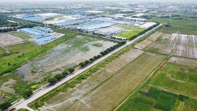 Deli Group sta per avviare la costruzione del suo più grande stabilimento a partecipazione estera, situato a Hai Duong.