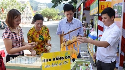 Đặc sắc các gian trưng bày quảng bá sản phẩm OCOP tại Tuần Du lịch