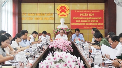 Ninh Phuoc៖ ដាក់ពង្រាយភារកិច្ចសំខាន់ៗក្នុងឆ្នាំ២០២៥