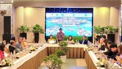 Cu Lao Cham Biosphere Reserve in Hoi An is gradually becoming a community tourism and learning center.