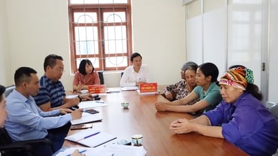 ประธานคณะกรรมการประชาชนเมืองกิญมน (ไหเซือง) รับผิดชอบครัวเรือนจำนวนมากที่ไม่ได้รับเงินช่วยเหลือโรคอหิวาตกโรคแอฟริกันในสุกร