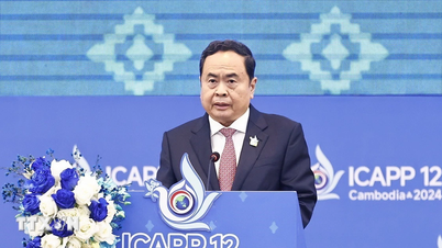 Chủ tịch Quốc hội Trần Thanh Mẫn phát biểu tại Hội nghị ICAPP 12