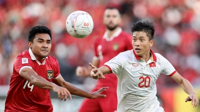 Head-to-head history between Vietnam and Indonesia before the ASEAN Cup match on December 15, 2024
