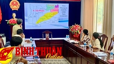 تنظيم وحدات إدارية على مستوى البلدية لتعزيز الموارد والمزايا المحلية