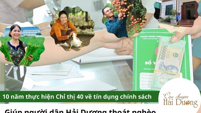 10 ឆ្នាំនៃការអនុវត្តសេចក្តីបង្គាប់ 40 លើឥណទានគោលនយោបាយ