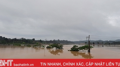 505 គ្រួសារនៅ Vu Quang ដាច់ពីគេដោយសារទឹកជំនន់