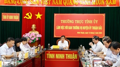 Standing Committee of Provincial Party Committee works with Standing Committee of Thuan Bac District Party Committee
