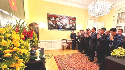 Chairman of Hai Duong Provincial People's Committee visits General Secretary Nguyen Phu Trong at the Vietnamese Embassy in Austria