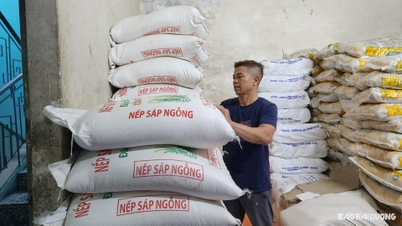 bảo đảm an ninh lương thực