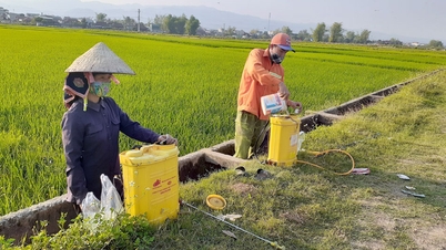 Nguy hại từ việc vứt vỏ bao thuốc bảo vệ thực vật bừa bãi