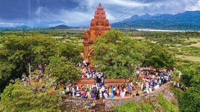 ស្វែងយល់ពីប៉មចាមបុរាណដ៏គួរឱ្យទាក់ទាញនៅ Ninh Thuan