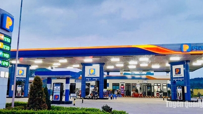 Petrolimex Tuyen Quang: Trasformazione digitale nelle operazioni commerciali del settore petrolifero e della benzina.