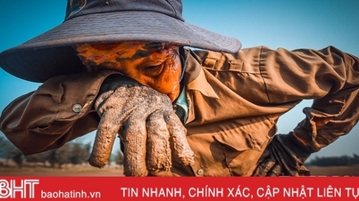 “សាកសពសត្វស្វា” នៅ Lach Ken Estuary…