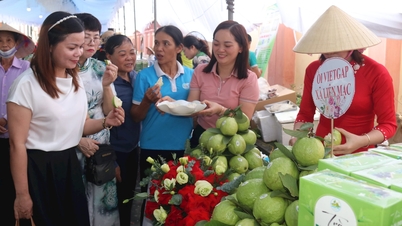 សមាគមគ្រឿងអលង្ការ Hai Duong តភ្ជាប់ការប្រើប្រាស់ផលិតផលកសិកម្មនៅតំបន់ជនបទ