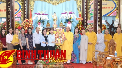 សហភាព​នារី​វៀត​ណាម​ធ្វើ​ទស្សន​កិច្ច​និង​អបអរសាទរ​បុណ្យ​ចម្រើន​ព្រះជន្ម​ព្រះ​ពុទ្ធ​ឆ្នាំ​២០២៤