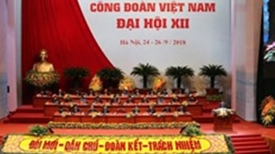 Thảo luận các nội dung chuẩn bị Đại hội XIII Công đoàn Việt Nam