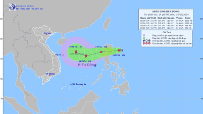 ឆ្លើយតបទៅនឹងទំនាបត្រូពិចក្បែរសមុទ្រខាងកើត