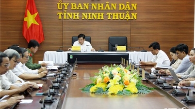 Hội nghị trực tuyến quán triệt, triển khai thi hành các luật, nghị quyết được thông qua tại Kỳ họp thứ 8, Quốc hội khóa XV