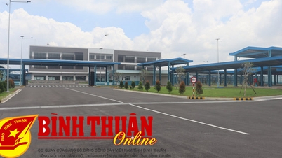 ចូលរួមចំណែកបង្កើតការងារដែលមានប្រាក់ចំណូលស្ថិរភាពសម្រាប់កម្មករក្នុងស្រុក