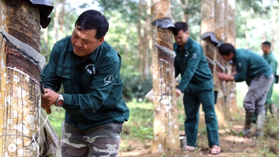 បង្កើតលក្ខខណ្ឌអំណោយផលបំផុតសម្រាប់អ្នកវិនិយោគ