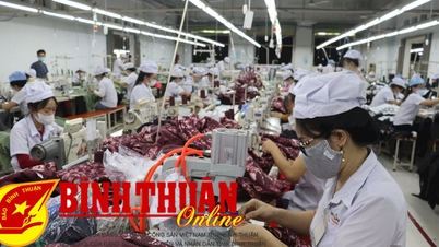 Kỳ vọng khởi sắc trong năm mới
