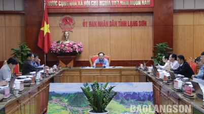 គណៈកម្មាធិការ​ប្រជាជន​ខេត្ត​ប្រជុំ​ពិនិត្យ​ខ្លឹមសារ​ពាក់ព័ន្ធ​កម្រិត​វិនិយោគ ជំនួយ​វិនិយោគ​សម្រាប់​ការពារ និង​អភិវឌ្ឍន៍​ព្រៃឈើ - កាសែត ឡាង សឺន៖ ព័ត៌មានថ្មីៗ ត្រឹមត្រូវ ល្បីឈ្មោះ