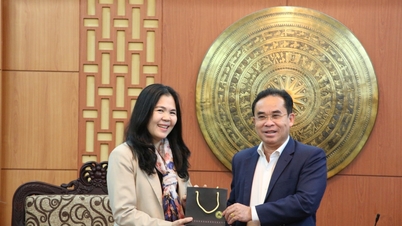 លោក Quang Nam សង្ឃឹមថា អង្គការទស្សនៈពិភពលោកនឹងអនុវត្តគម្រោងជាច្រើន ដើម្បីផ្គត់ផ្គង់ជីវភាពនៅតំបន់ជួបការលំបាក។