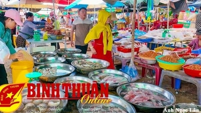 ត្រួតពិនិត្យជាប្រចាំ ដើម្បីកែលម្អគុណភាពនៃប្រតិបត្តិការមូលនិធិឥណទាន។