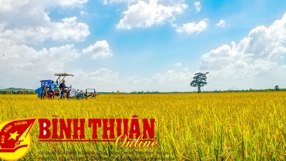 Tanh Linh will eine moderne Landwirtschaft entwickeln