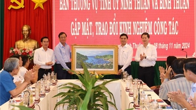 គណៈកម្មាធិការអចិន្ត្រៃយ៍នៃគណៈកម្មាធិការបក្សខេត្ត Ninh Thuan និងខេត្ត Binh Thuan បានជួបប្រជុំ និងផ្លាស់ប្តូរបទពិសោធន៍ការងារ