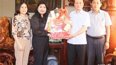 The National Assembly delegation of the province visited and gave Tet gifts to poor households and former National Assembly deputies.