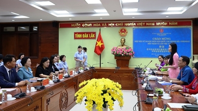 UBND tỉnh làm việc với Hiệp Hội Nữ doanh nhân Hàn Quốc chi nhánh Bắc Gyeonggi