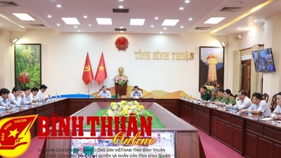 មុន​ថ្ងៃ​ទី​២០ វិច្ឆិកា ត្រូវ​តែ​បញ្ចប់​ការ​ចុះ​ឈ្មោះ​ទូក​នេសាទ «៣​គ្មាន» ចំនួន ៧០០០​គ្រឿង